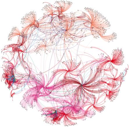 network of relationships (arcs) between genes, cellular pathways and traits associated with diabetes.