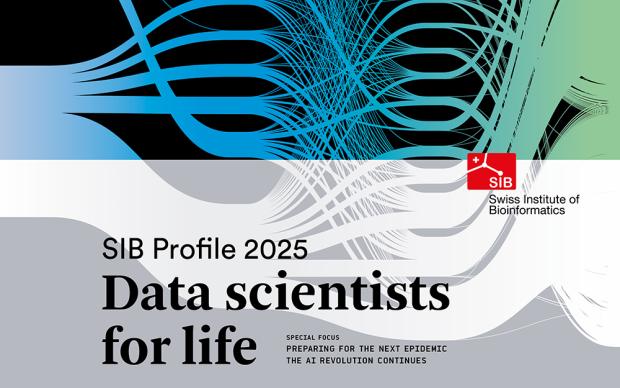 Cover of the SIB 极速赛车168 Profile 2025