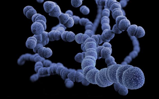 3D computer-generated image of Streptococcus pneumoniae bacteria based on scanning electron microscopic imagery. Credit: Unsplash.